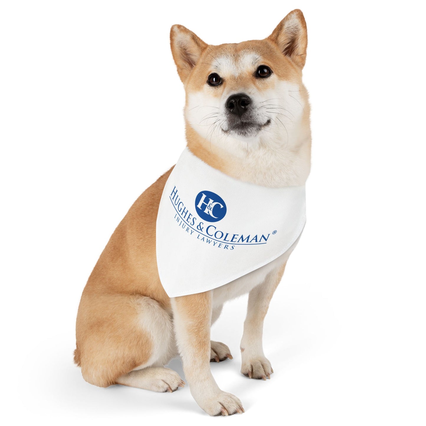 Pet Bandana Collar
